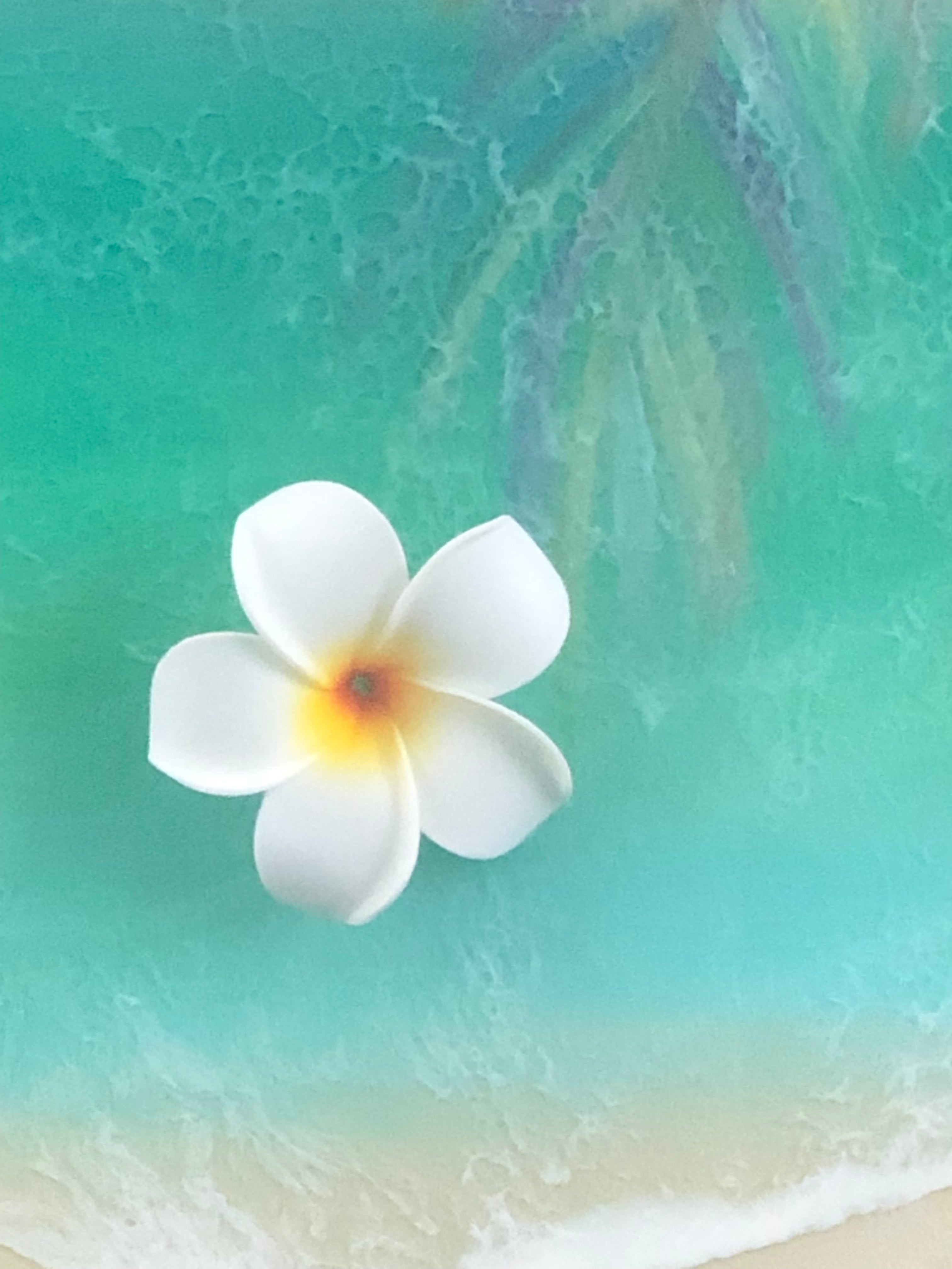 A3 レジンアート【Waves and Flowers】A3　　C-27